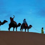 3 días Marrakech Fez viaje del Desierto